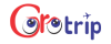 Gorotrip Limousine VIP